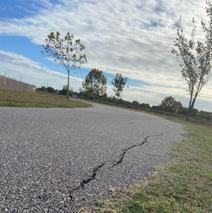 Meet your Posher, Linh